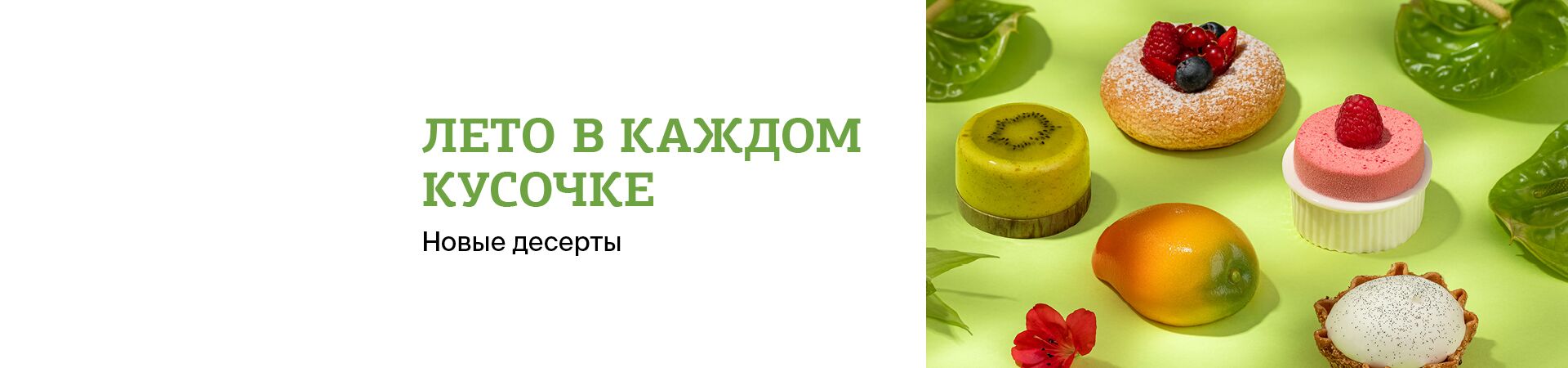 homepage banner 3