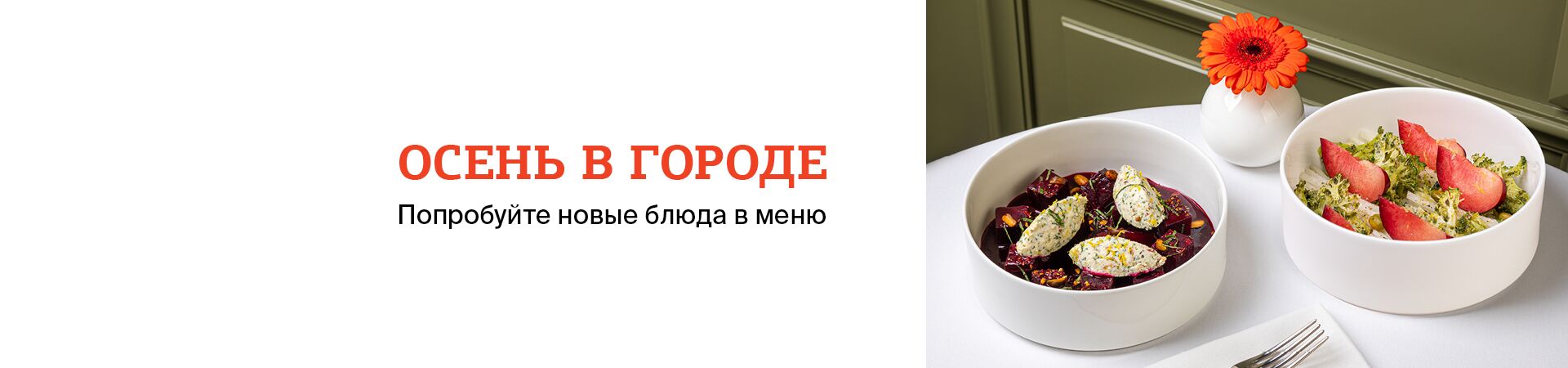 homepage banner 2